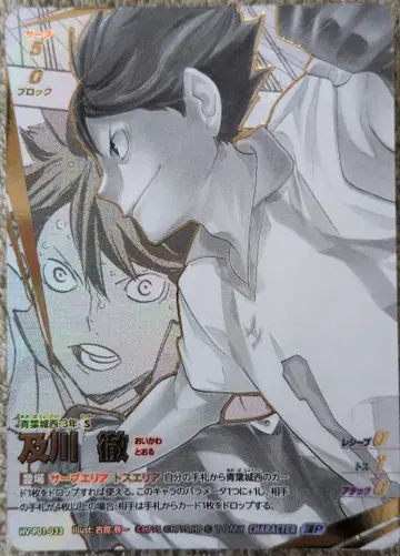 하이큐 바보카 BREAK 오이카와 토오루 P 아오바죠사이 세트