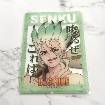 Dr.STONE 이시가미 센쿠 트레이딩 명대사 클리어 카드