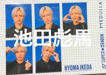 SUPER DRAGON MEDULLA 증명사진풍 포토 스티커 이케다 효마