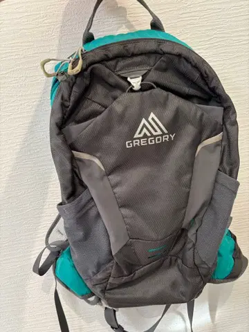 GREGORY 소형 백팩 그레이/터콰이즈