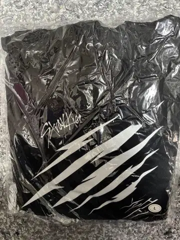 straykids 소리꾼 후디