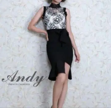 Andy 타이트 드레스 블랙 화이트