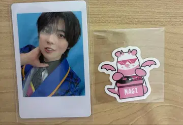 팬더드래곤 나기 하피카 스티커