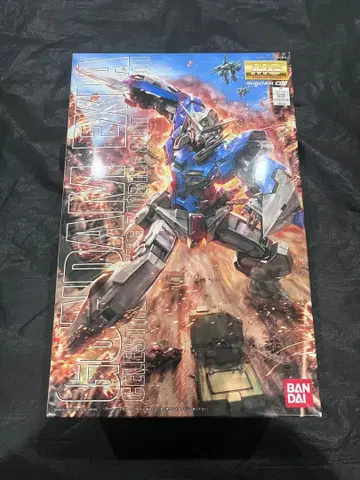 MG 건담 엑시아 1/100 정크