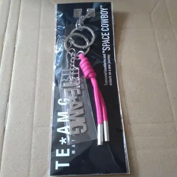 이와타 타카노리 백참