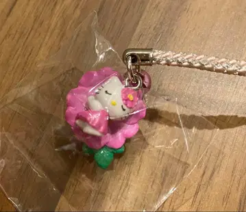 [레어] 지역 한정 키티 끈 스트랩 하코네 한정 하코네 장미 2007년