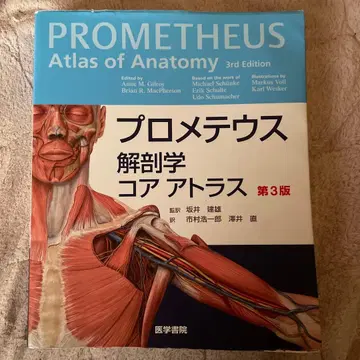 프로메테우스 해부학 코어 아틀라스 제3판