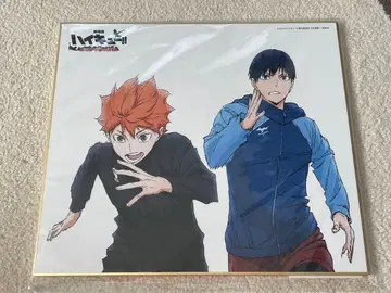 하이큐 쓰레기장의 결전 특전 그려내린 색지