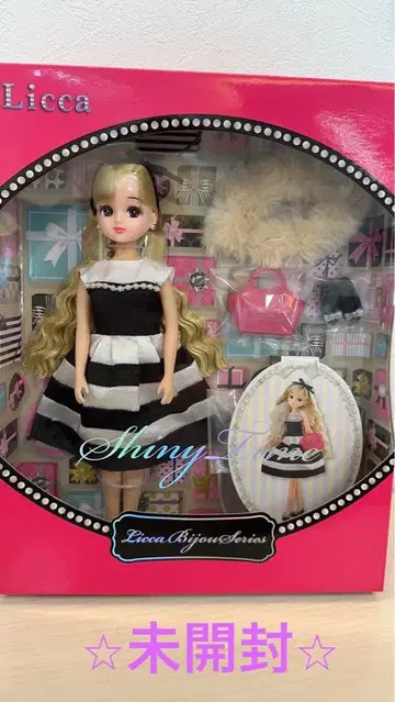 리카짱 비쥬 시리즈 샤이니 타임 미개봉 새상품