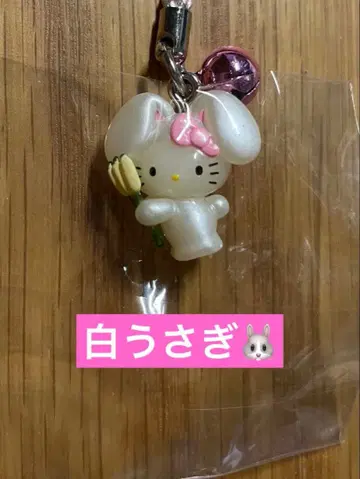 지역 한정 키티 이나바의 흰 토끼 버전