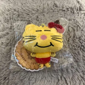 NEWS 마스다 타카히사 네코마스