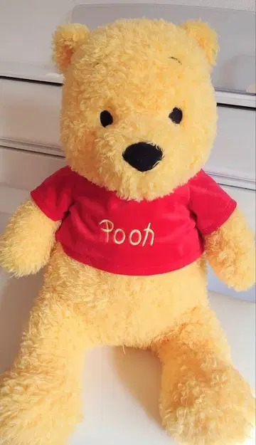 디즈니 리조트 곰돌이 푸 봉제 인형 약 30cm 복슬복슬 BIG