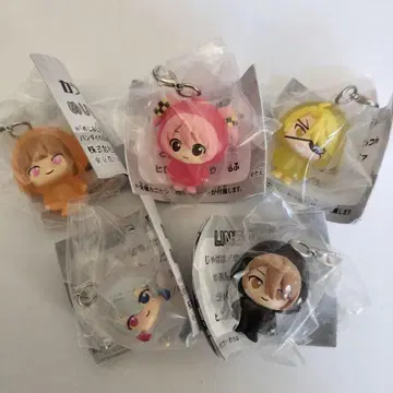 카라피치 메지루시 액세서리 5개