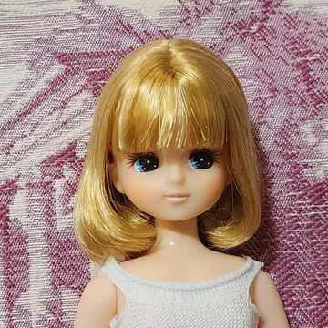 리카짱 캐슬 빨간색 카메라 모델 리카짱