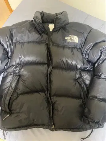 THE NORTH FACE 눕시 다운 자켓