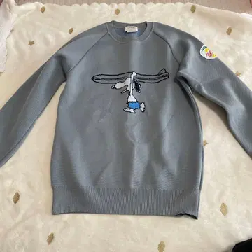 스누피 자수 그레이 긴팔 트레이닝복