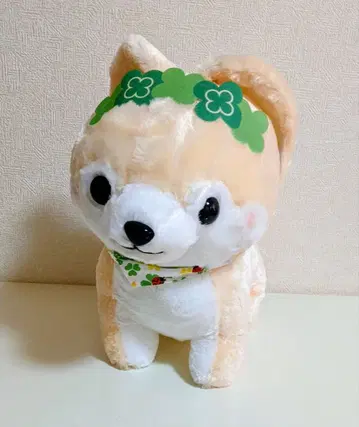 콩 시바 삼형제 해피 클로버 울트라 BIG 봉제 인형 사스케 1개