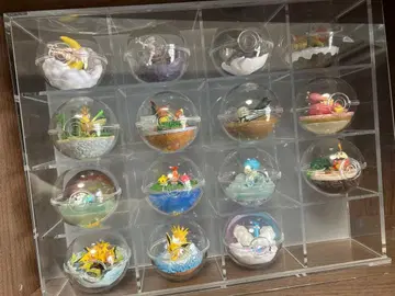 포켓몬 테라리움 컬렉션 묶음 판매