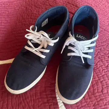 LACOSTE 중고 대방출 LACOSTE 네이비 스니커즈 8 UK