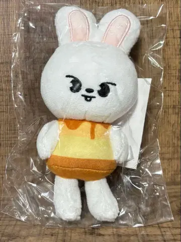 straykids skzoo 리노 백참