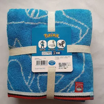 포켓몬스터 포켓몬 페이스 타월 세트 3개입