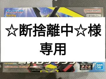 [미개봉] 포켓몬 프라모델 컬렉션 블랙 레쿠자