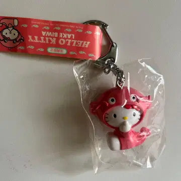 미사용 지역 한정 키티 키링 비와코 메기 헤이세이 레트로 산리오