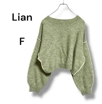 Lian 돌먼 슬리브 숏 기장 입체 니트탑 F 릴랙스감