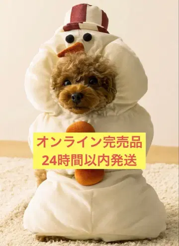 스노우맨 코스 쓰리코인즈 3coins 눈사람 반려동물 개 크리스마스