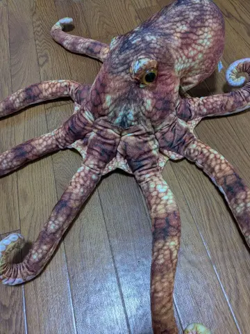 문어 봉제 인형 사카나 군 감수