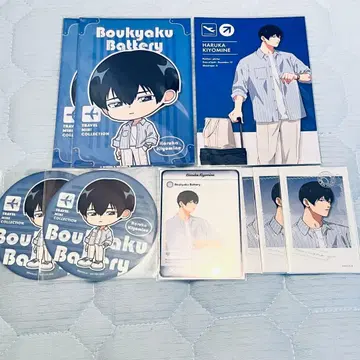 청봉엽류화 세트