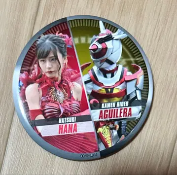 가면라이더 리바이스 가면라이더 아기레라 나츠키 하나 캔뱃지