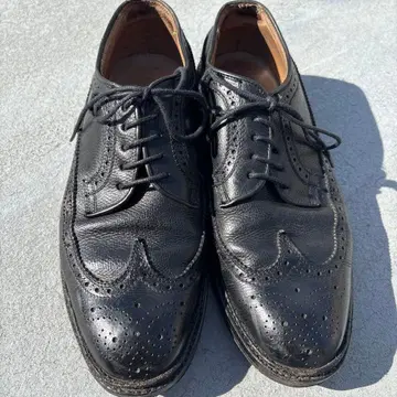 리걸 이스트 코스트 윙팁 블랙