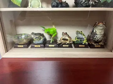 네이처 테크니컬러 일본 개구리 특장판 풀 컴플리트 덤 포함