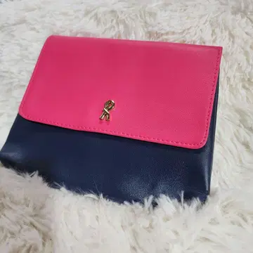 로베르타 디 카메리노 바이컬러 파우치