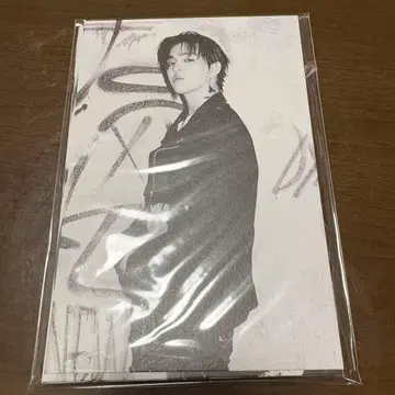 SEVENTEEN HAPPYBURSTDAY LP 엽서 11장 세트