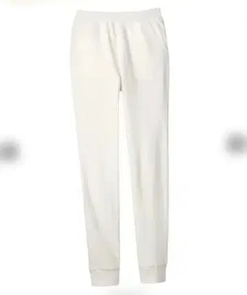 DHC 유스풀 확실히 두꺼운 면 맨투맨 슬림 팬츠 화이트 LL