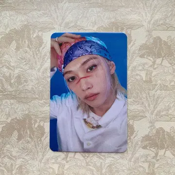 StrayKids 미국 KARMA TARGET 혜택 트레이딩 카드 필릭스