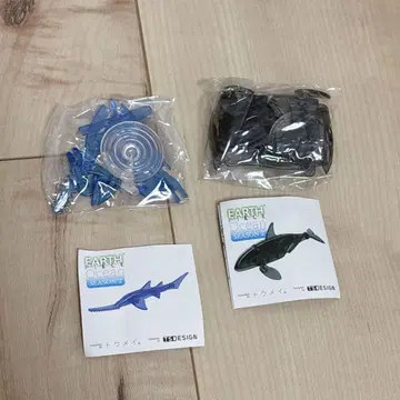 Earth Ocean 투명 범고래 톱상어