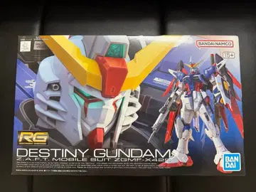 RG 데스티니 건담