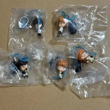 스트랩 5종 세트