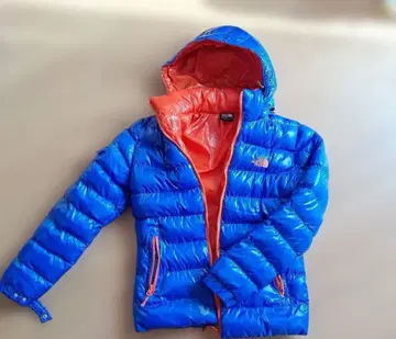 THE NORTH FACE SUMMIT SERIES 다운 자켓