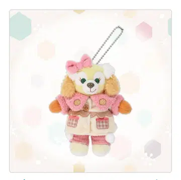 쿠키앤 인형 배지 시크릿 오브 스노우위 데이