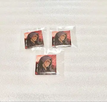 fgo 아레코레 푸치 CAN 배지 세트 후후린 알타