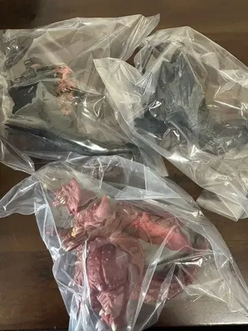 고질라 진격대전 새로운 방문자 3종류