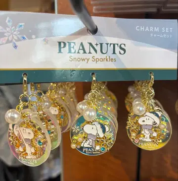 USJ 한정판 스누피 찰리 브라운 참 세트