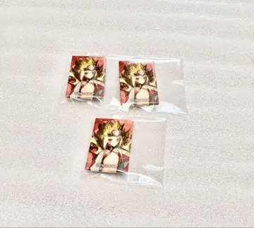 fgo 아레코레 푸치 CAN 배지 세트 드라코