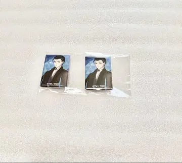 fgo 이것저것 쁘띠 CAN 배지 세트 홈즈