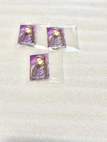 fgo 아레코레 푸치 CAN 배지 세트 랜슬롯