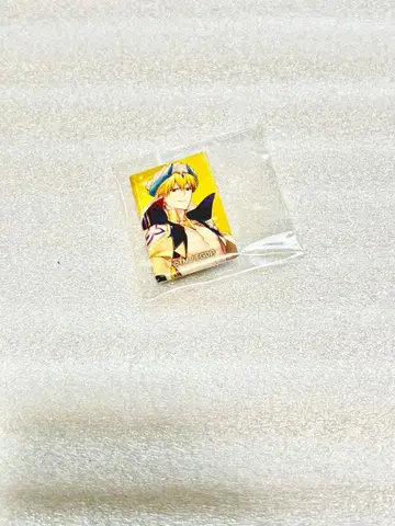 fgo 아레코레푸치 CAN 배지 세트 길가메쉬 캐스터